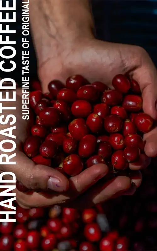 VNO COFFEE BEAN - PHAND ROASTED COFFEE