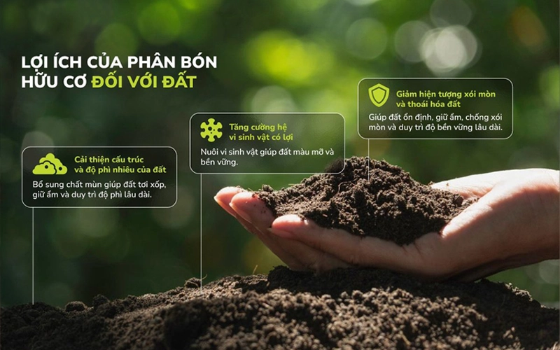 benefits of organic fertilizers