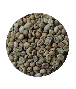 GR01-GREEN BEAN ROBUSTA ORGANIC